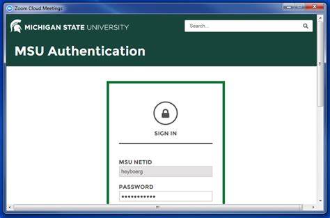msu sso|msu single sign on.